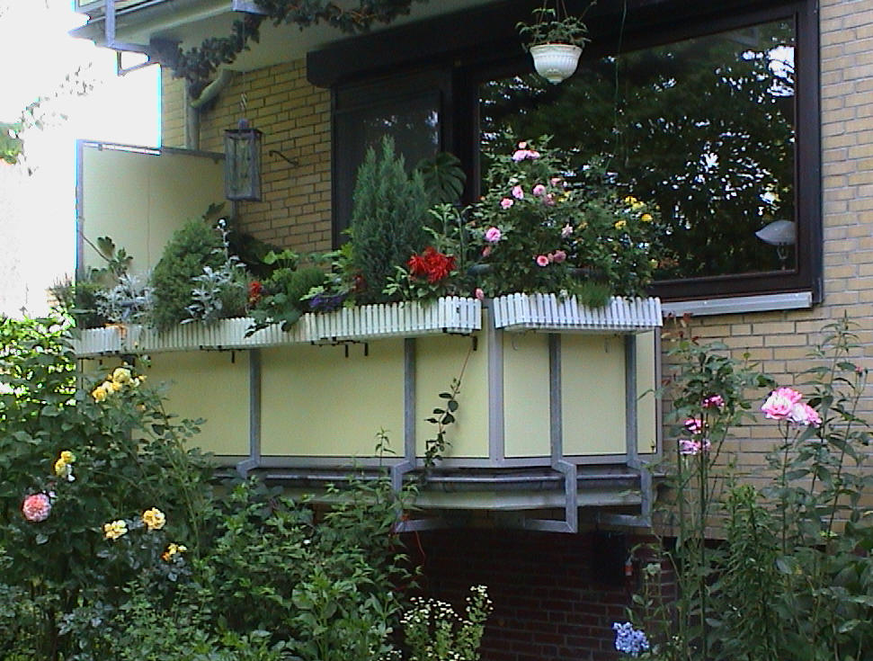 Mein Balkon im Juni 2005
