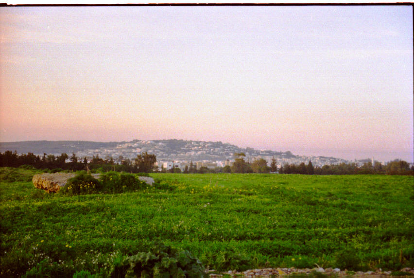Blick auf Tunis