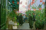 Blumenmarkt in der Altstadt von Tunis
