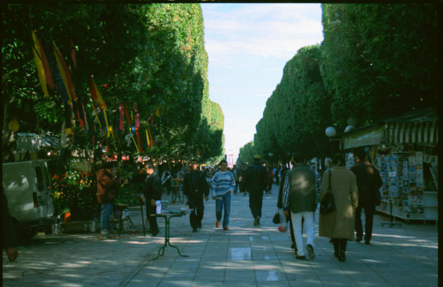 Blumenmarkt an der Avenue Habib Bourgiba in Tunis