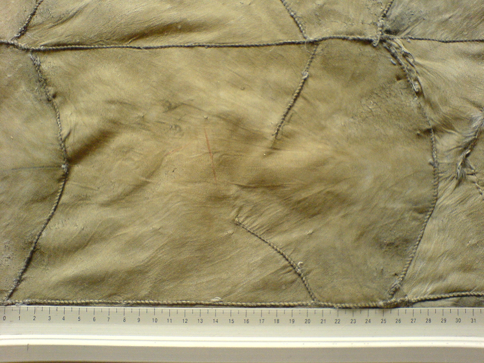 Chekiang-Lamm - Fellrückseite im Detail