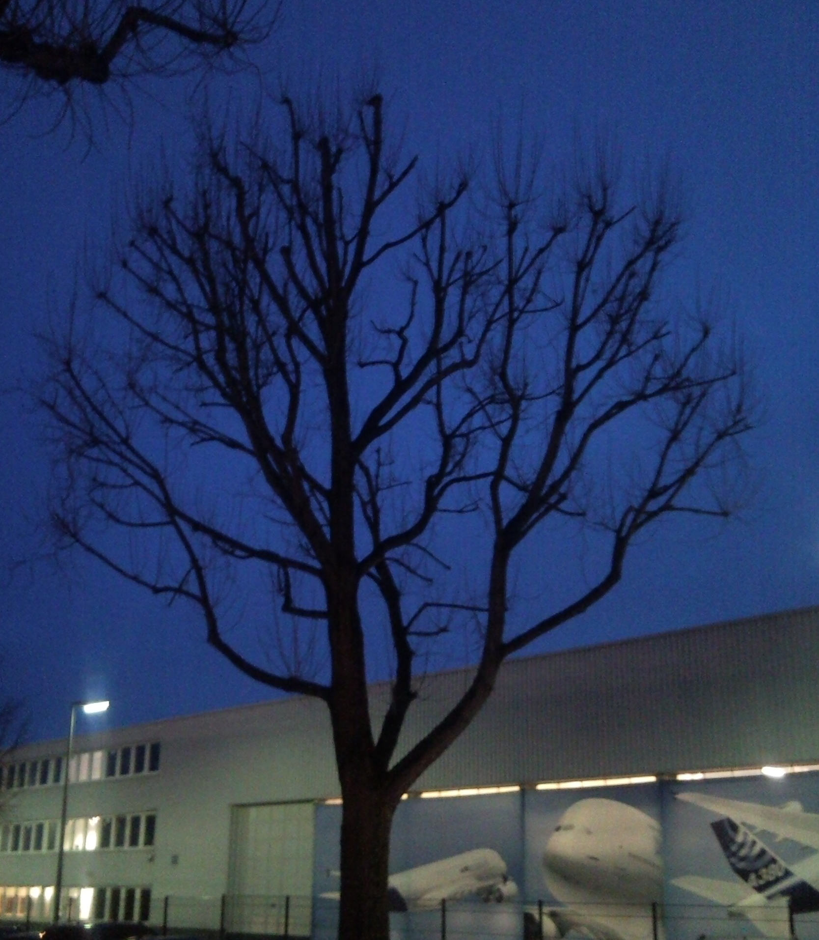Blaue Stunde bei Airbus