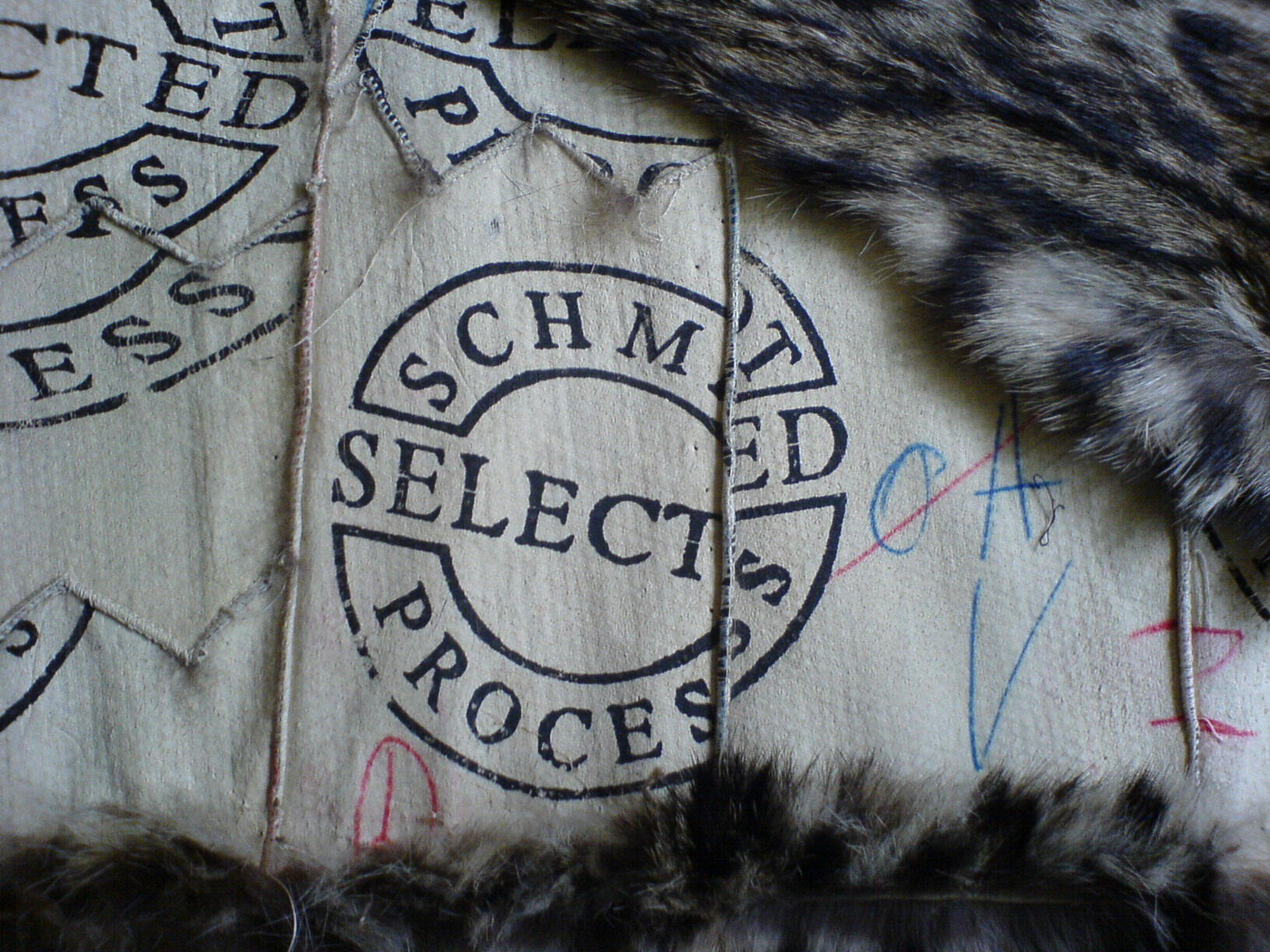 Schmidt Selected Process
