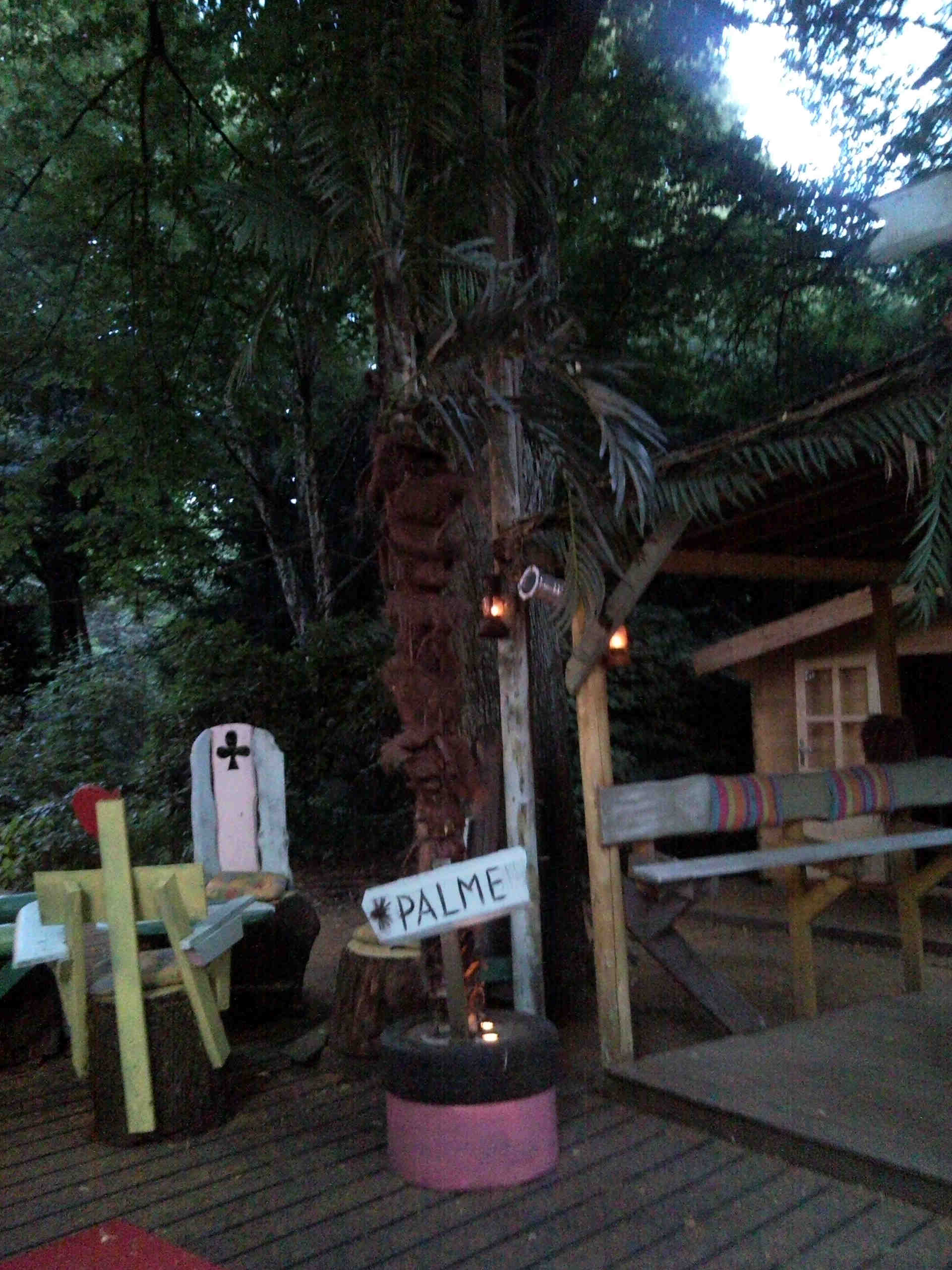 Palme im Landhaus Walter