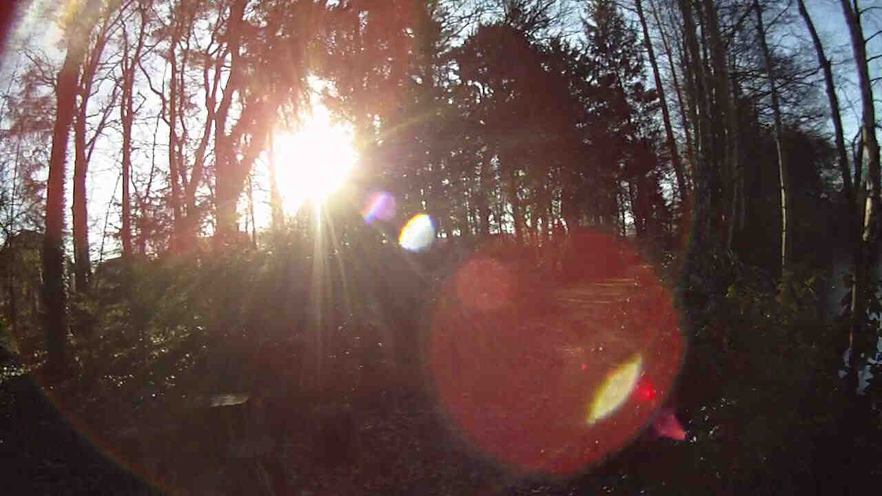 Gegenlicht