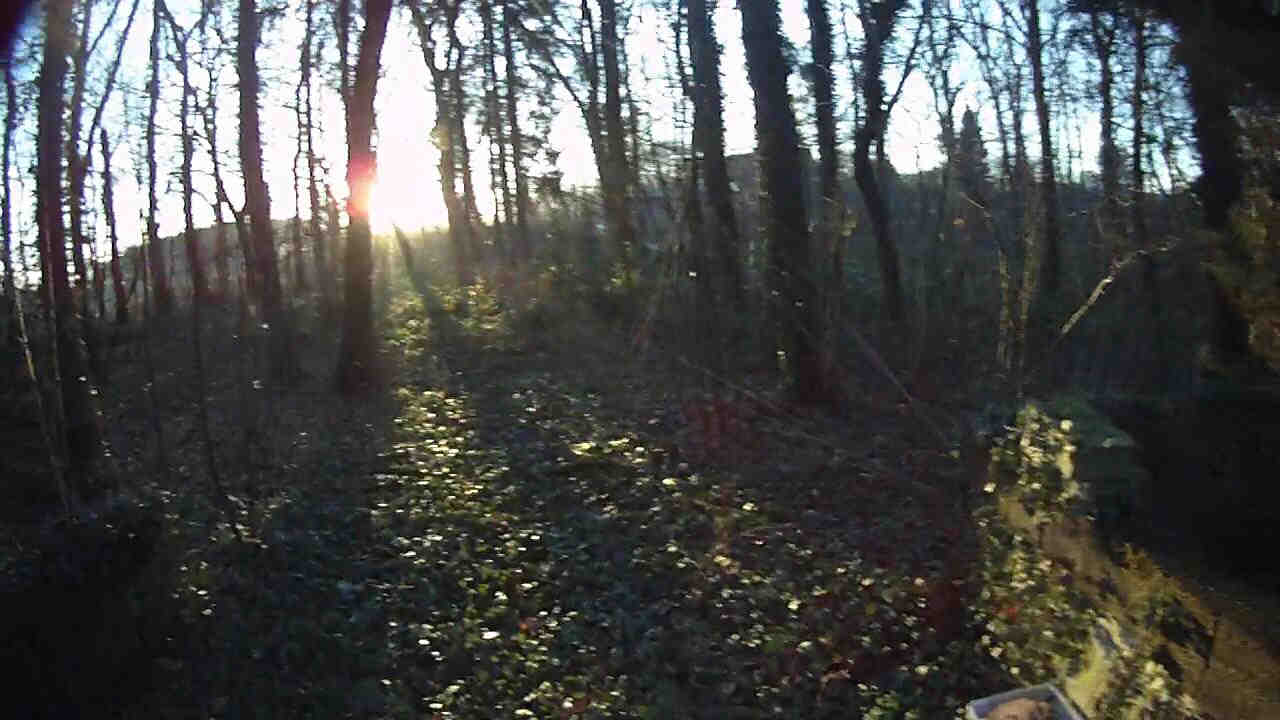 Die Abendsonne steht tief...