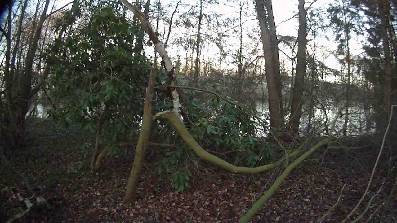 Abgebrochen