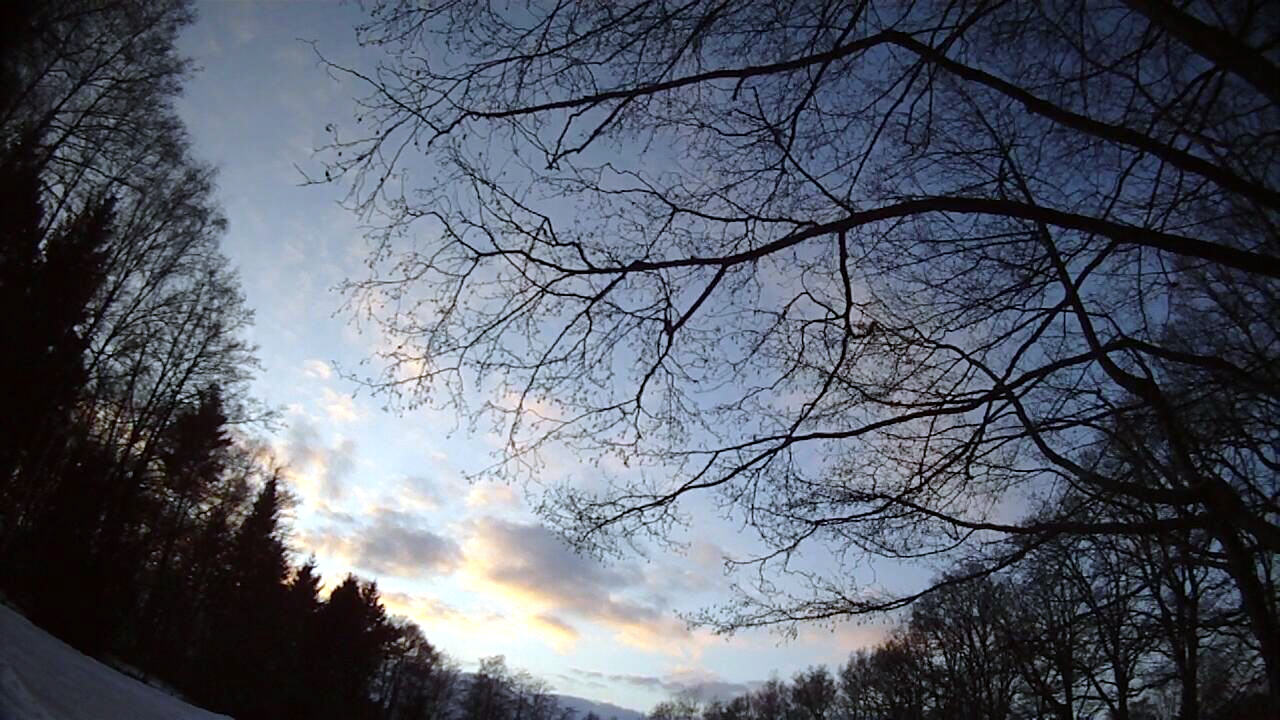 Der Himmel über dem Paradies