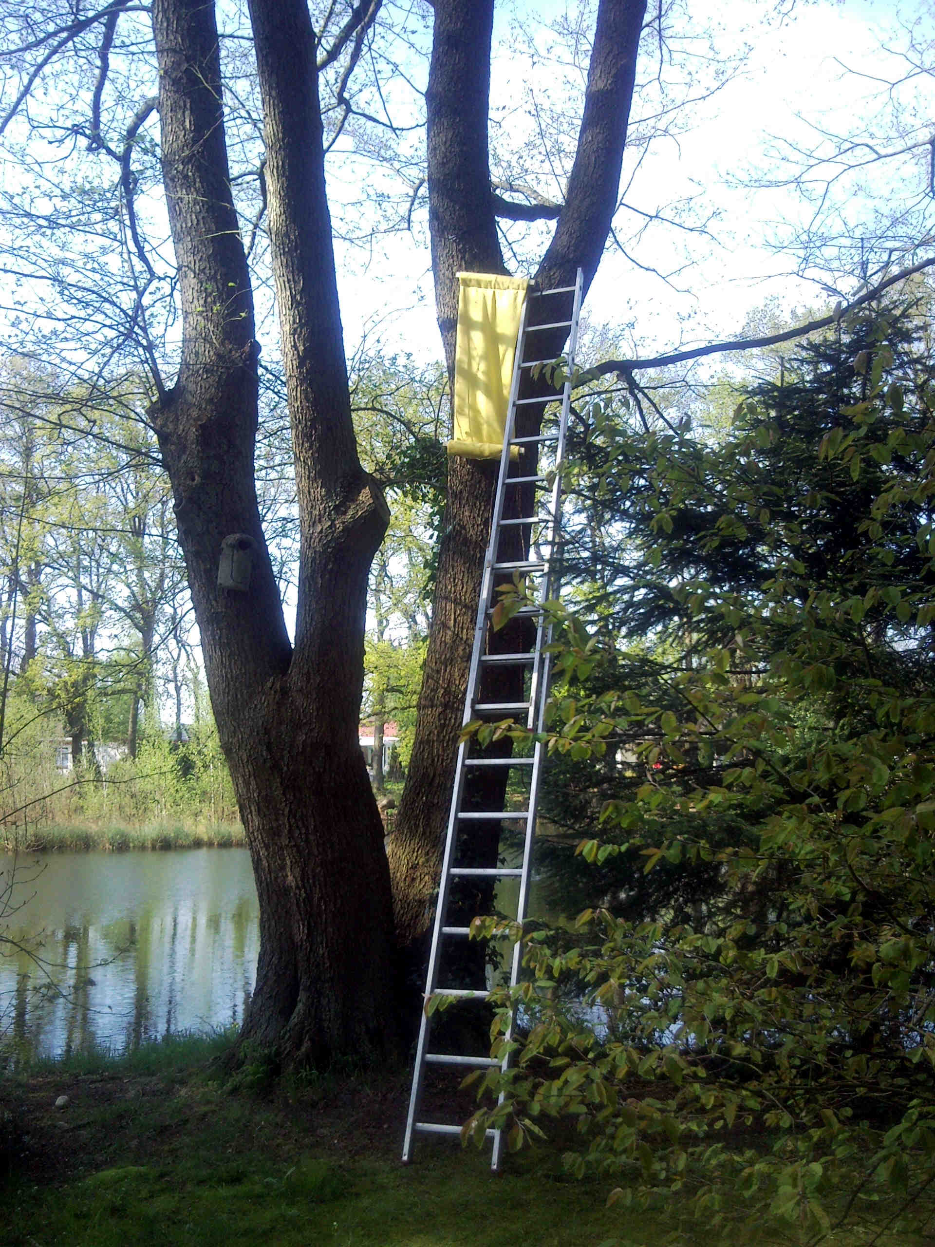 Da oben wäre ein prima Platz gewesen
