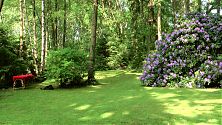 Der Park im Mai 2012